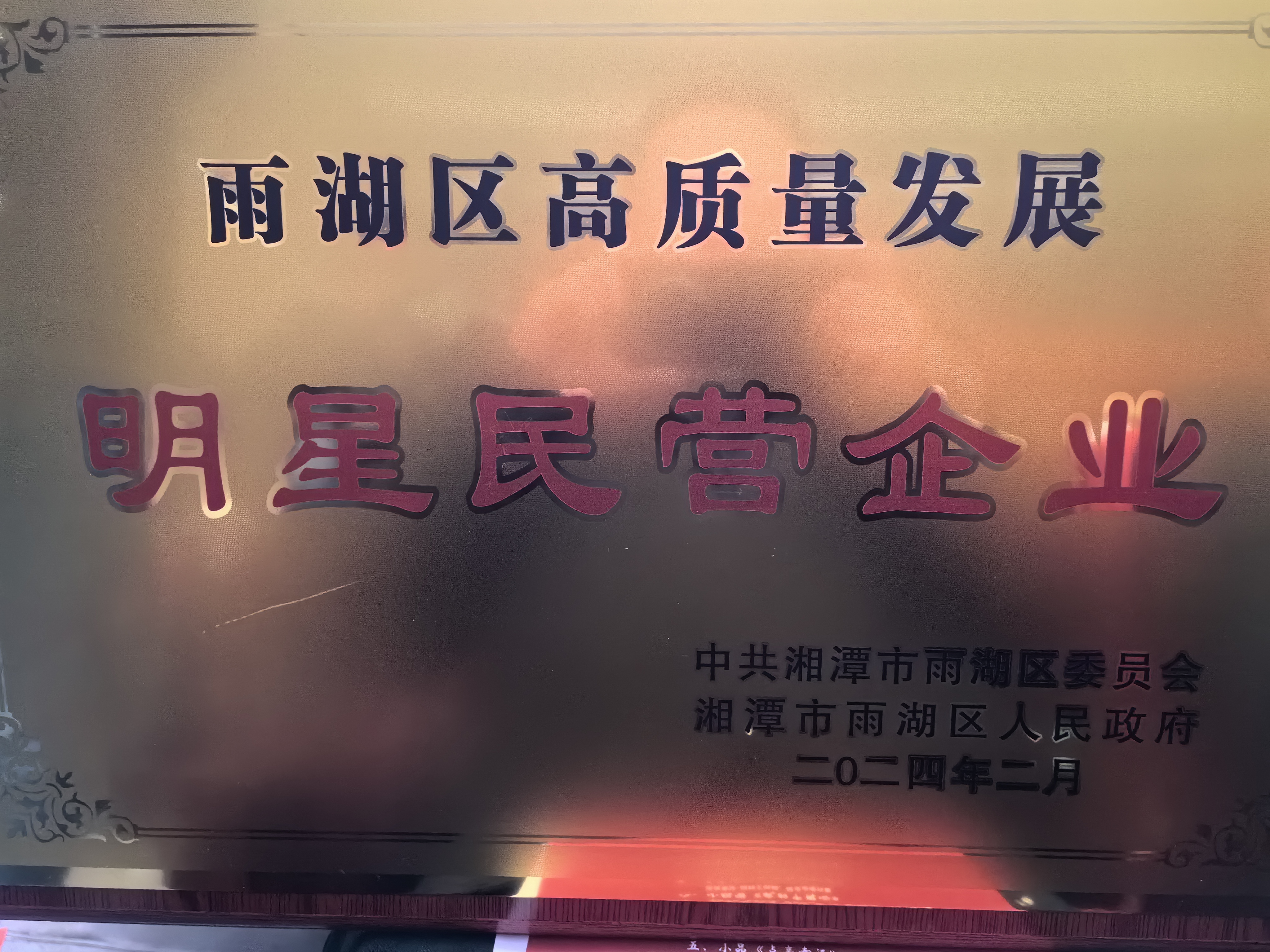 好博体育荣获“雨湖区高质量发展明星民营企业”称号
